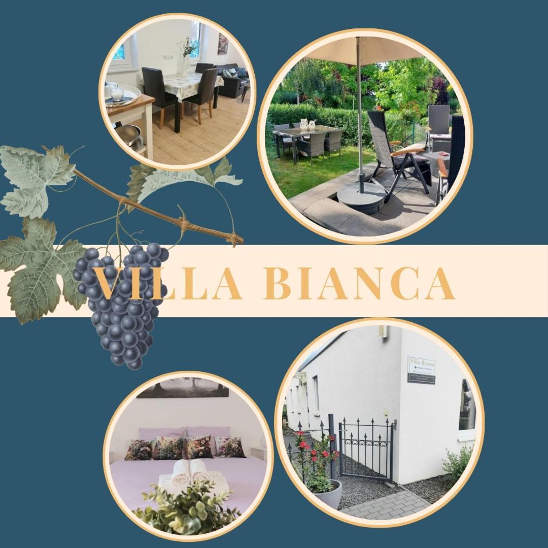 Villa Bianca - Holiday & Business Elsenfeld Kültér fotó